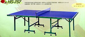 Tabletennis table,More description