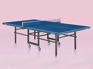 Tabletennis table p-819,More description