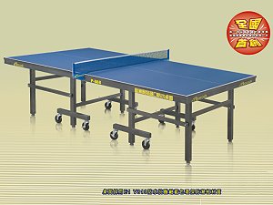 Tabletennis table p-868,More description